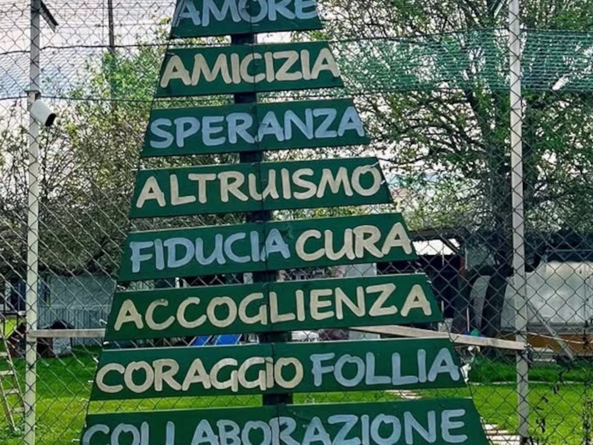 Cura, accoglienza, speranza e tante seconde possibilità | Rifugio Le Sfigatte
