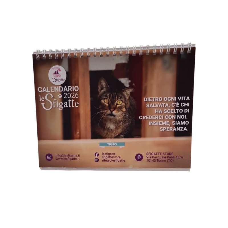 Calendario da tavolo - Associazione Le Sfigatte