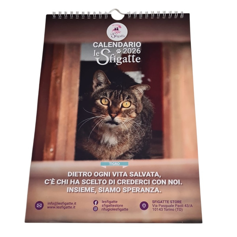 Calendario da muro - Associazione Le Sfigatte