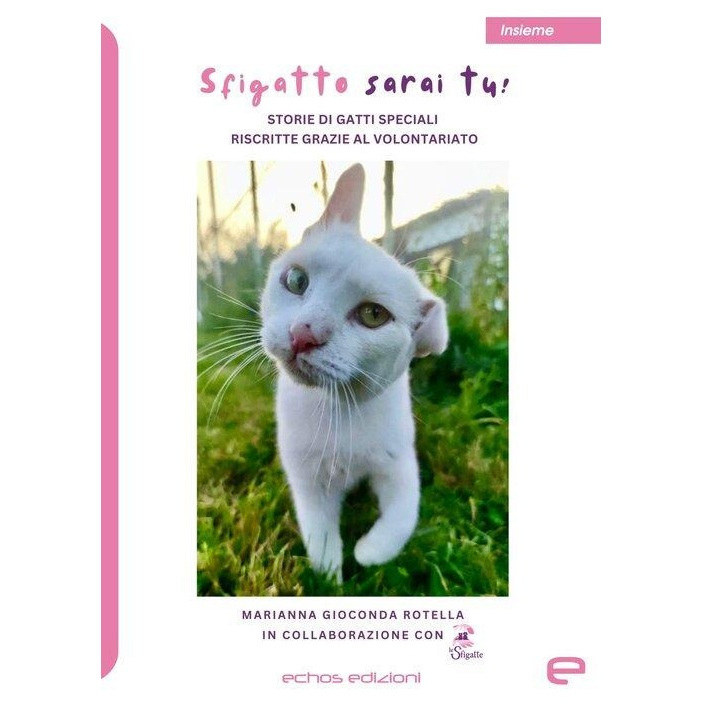 Sfigatto sarai tu! | Associazione Le Sfigatte