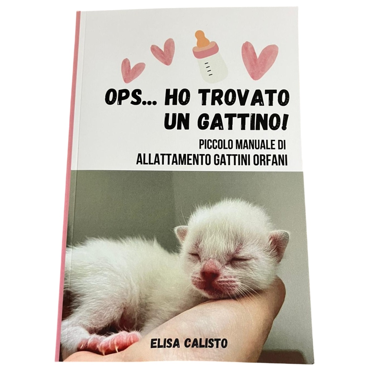 "Ops... Ho trovato un gattino! Piccolo Manuale di Allattamento Gattini Orfani" | Associazione Le Sfigatte