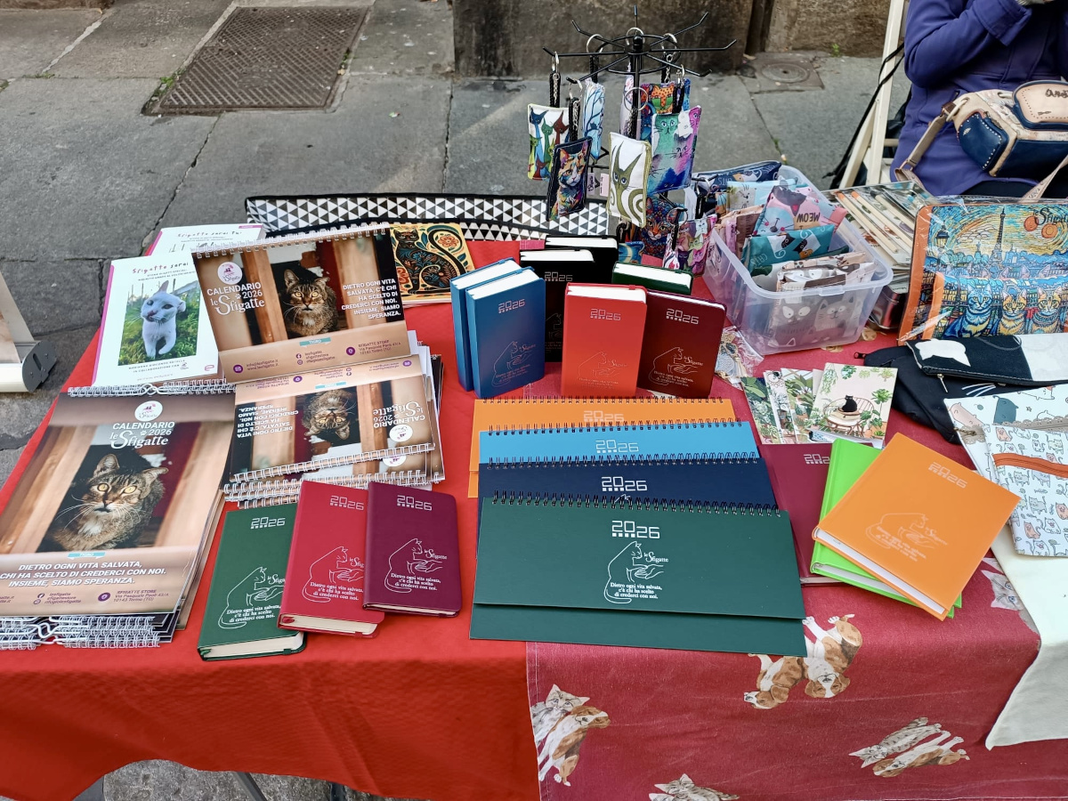 Banchetto solidale di Le Sfigatte con gadget miciosi, libri, shopper e t-shirt