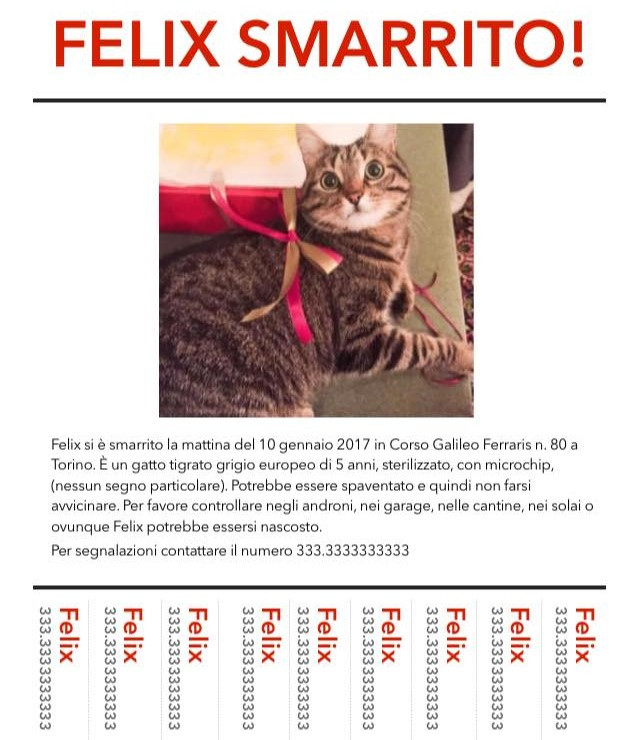 conoscere il gatto Le Sfigatte
