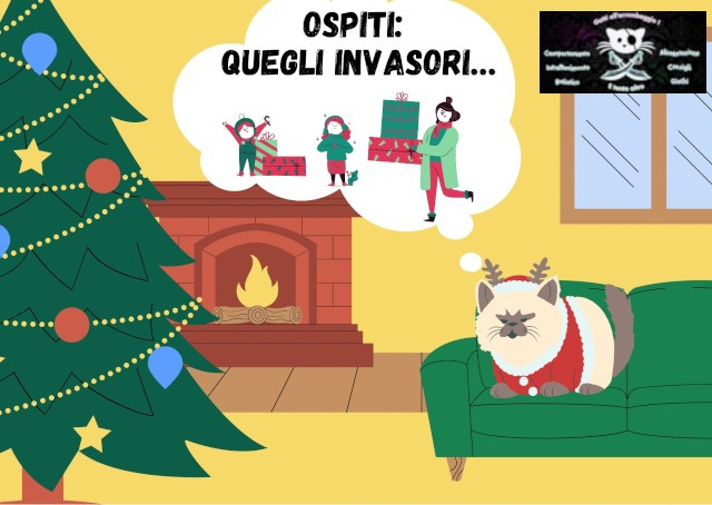 conoscere il gatto Le Sfigatte