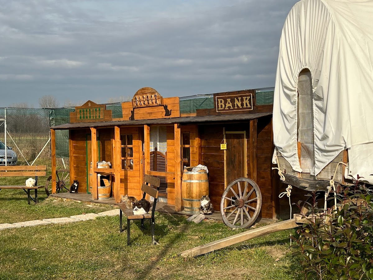 Area Selvaggio West ! Rifugio Le Sfigatte