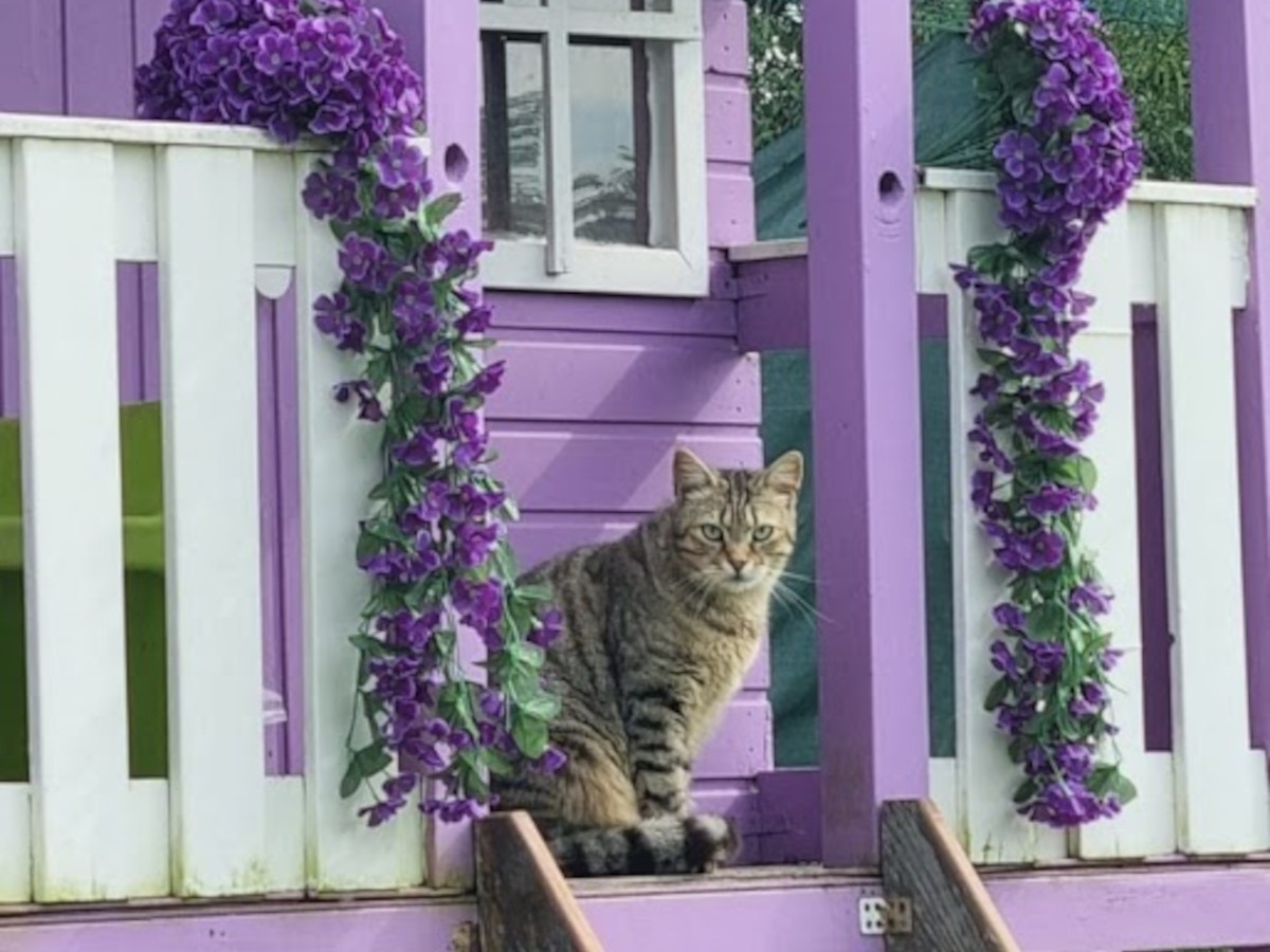 Area Fiabe | Rifugio Le Sfigatte