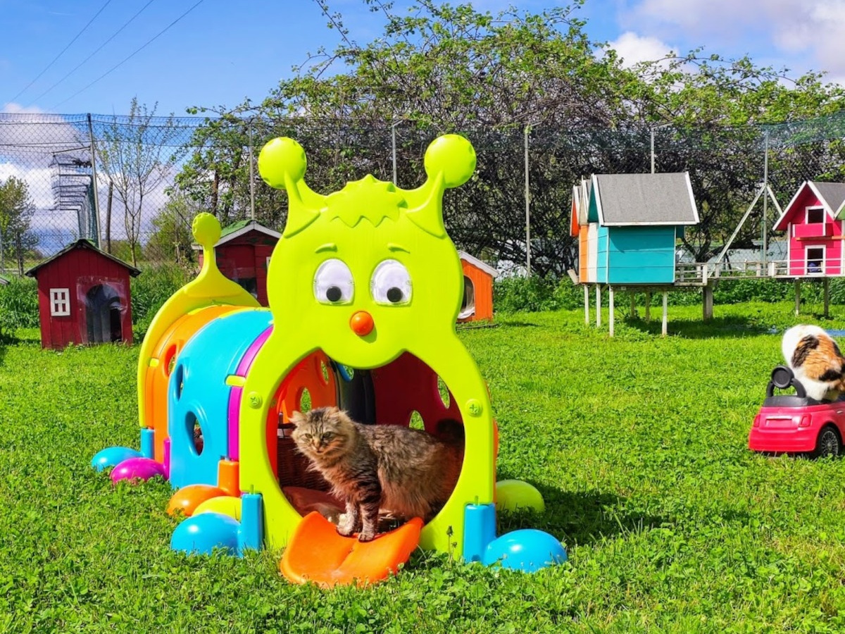 Area Giochi | Rifugio Le Sfigatte