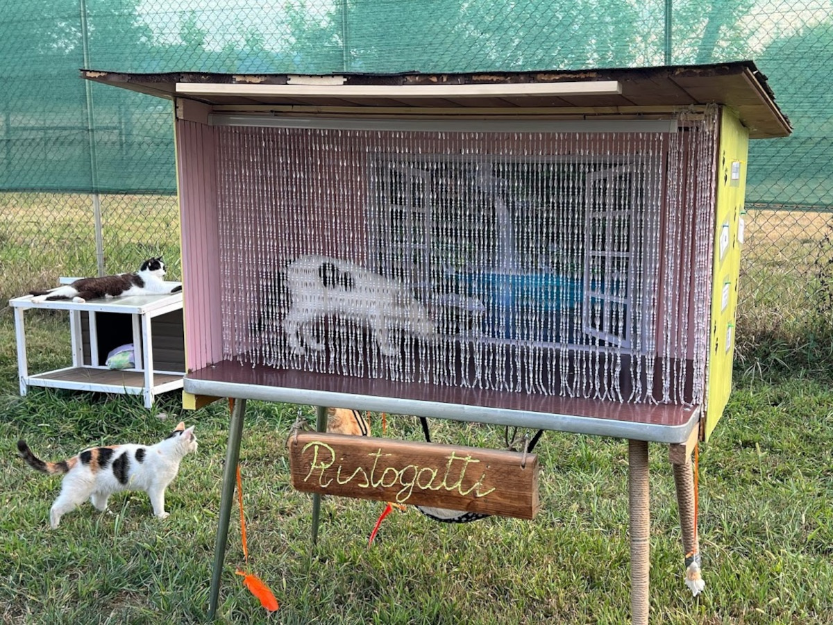 Un punto pappa | Rifugio Le Sfigatte