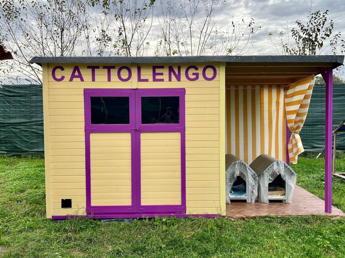 Area recintata per garantire il benessere dei gatti più fragili, ribattezzata affettuosamente Area rottamini | Rifugio Le Sfigatte