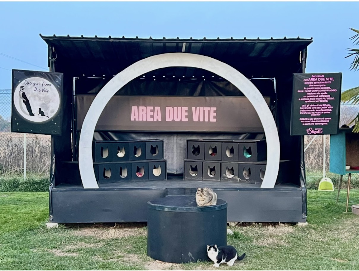 Area Due Vite - Palco, omaggio a Marco Mengoni | Rifugio Le Sfigatte