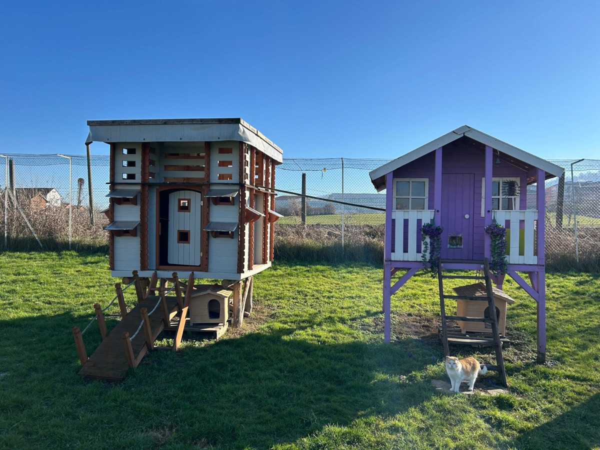 Area Fiabe | Rifugio Le Sfigatte