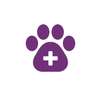 Con il tuo 5x1000 a Le Sfigatte aiuti a sterilizzare un gatto maschio, prevenendo il randagismo