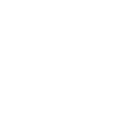 circa 450 gatti di colonie feline sfamati e monitorati nel 2025 da Le Sfigatte