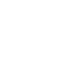 85 cuccioli allattati, svezzati e messi in sicurezza nel 2025 da Le Sfigatte