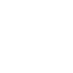 376 gatti adottati nel 2024 da Le Sfigatte