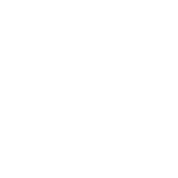 312 gatti recuperati e curati nel 2025 da Le Sfigatte