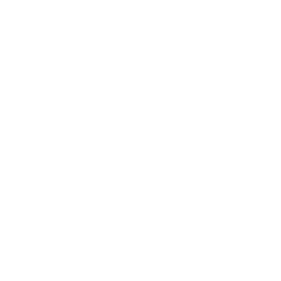 302 gatti sterilizzati nel 2025 da Le Sfigatte