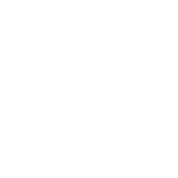 oltre 70 gatti accolti e curati dal Sud Italia nel 2025 da Le Sfigatte